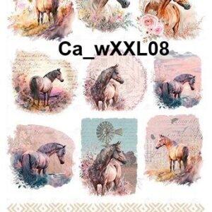 CaXXL08
