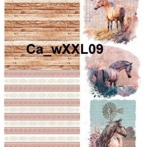 CaXXL09
