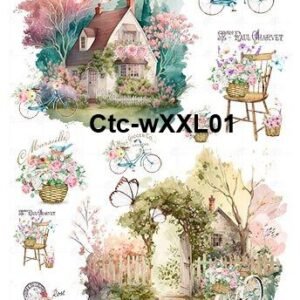 Ctc-wXXL01