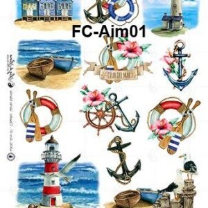 FC-Aim01