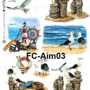FC-Aim03