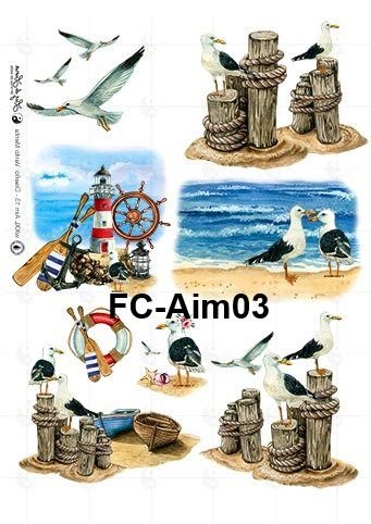 FC-Aim03