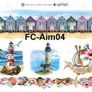 FC-Aim04