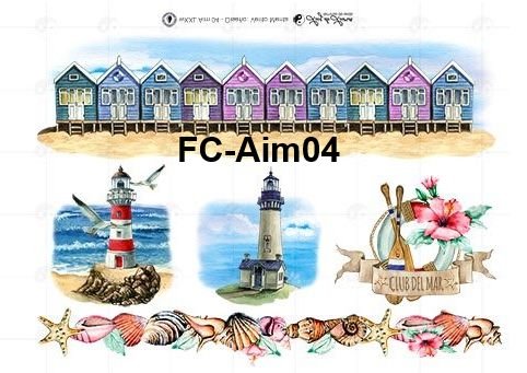 FC-Aim04