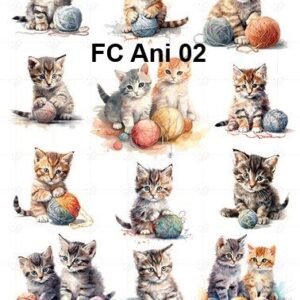 FC-Ani-02