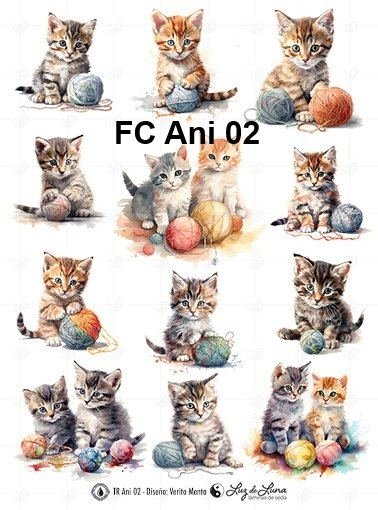 FC-Ani-02