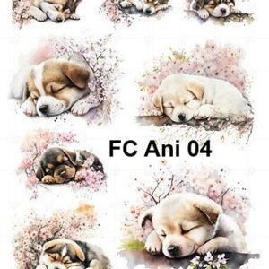 FC-Ani-04