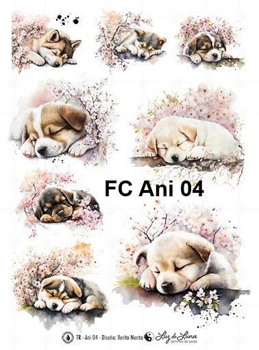 FC-Ani-04