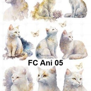 FC-Ani-05