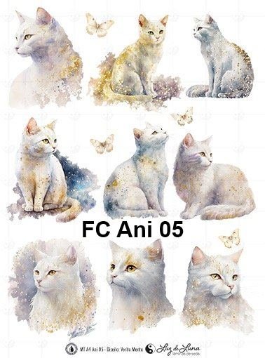 FC-Ani-05