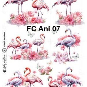 FC-Ani-07