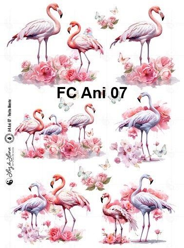 FC-Ani-07