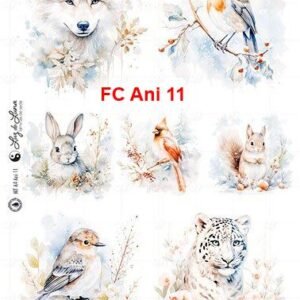 FC-Ani-11