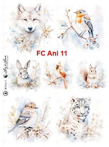 FC-Ani-11