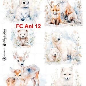 FC-Ani-12