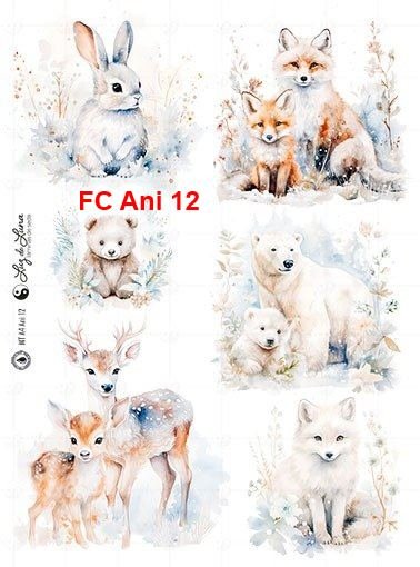 FC-Ani-12