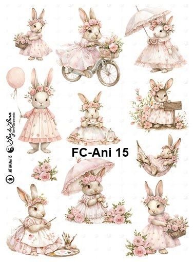 FC-Ani-15