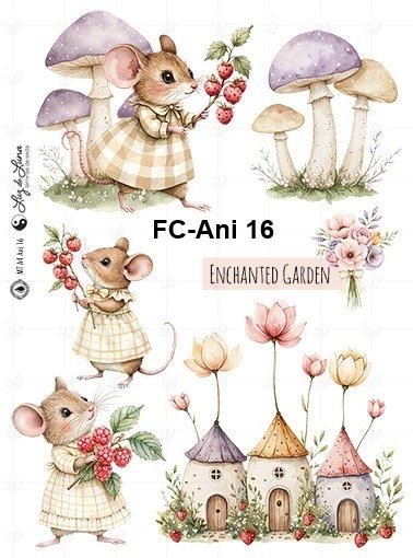 FC-Ani-16