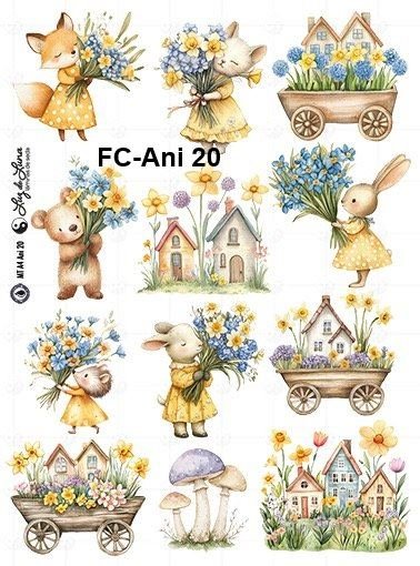 FC-Ani-20