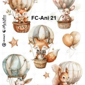 FC-Ani-21