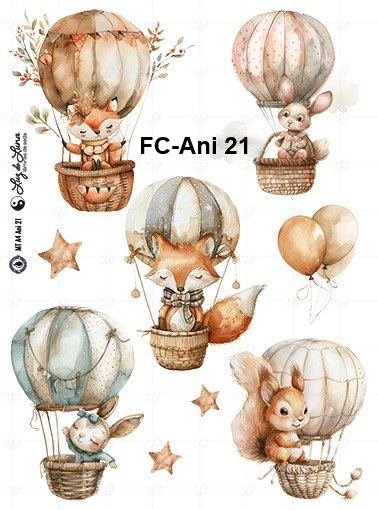 FC-Ani-21