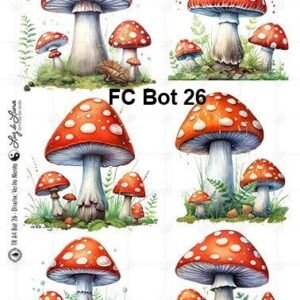 FC-Bot26