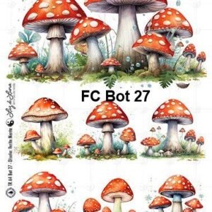 FC-Bot27