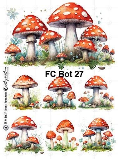 FC-Bot27