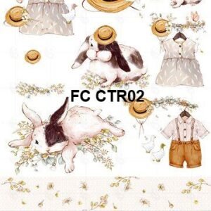 FC-CTR02