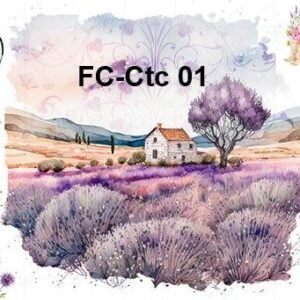 FC-Ctc-01
