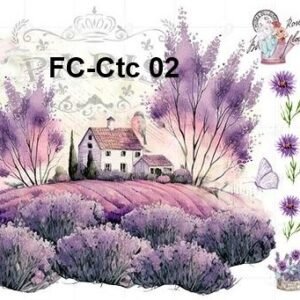 FC-Ctc-02