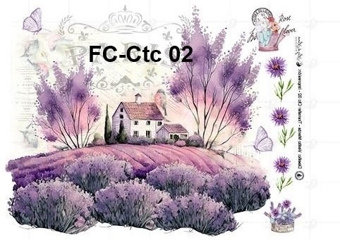 FC-Ctc-02