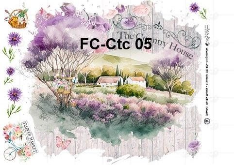 FC-Ctc-05