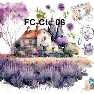 FC-Ctc-06