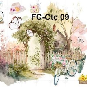 FC-Ctc-09