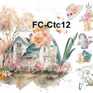 FC-Ctc-12