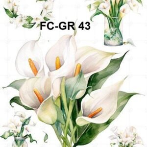 FC-GR-43