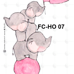 FC-Ho-07