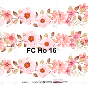 FC-Ho-16