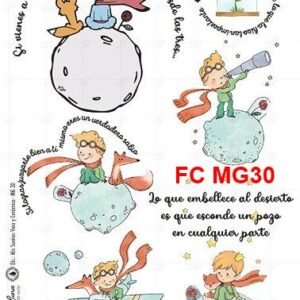 FC-MG30