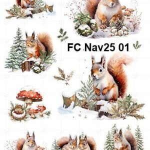 FC-Nav25-01