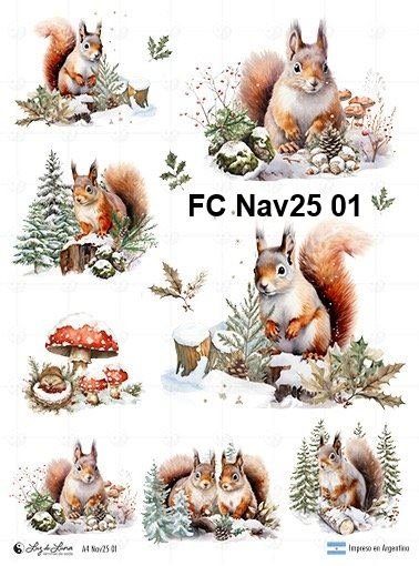 FC-Nav25-01
