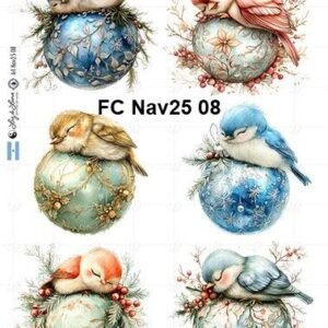 FC-Nav25-08