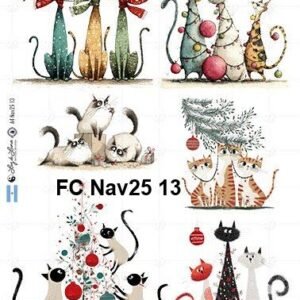 FC-Nav25-13