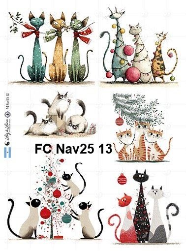 FC-Nav25-13