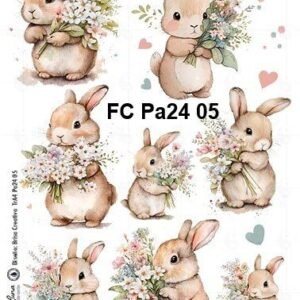 FC-Pa24-05