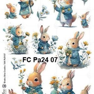 FC-Pa24-07