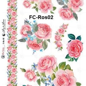 FC-Ro02