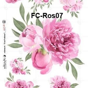 FC-Ros07