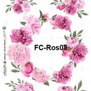 FC-Ros08